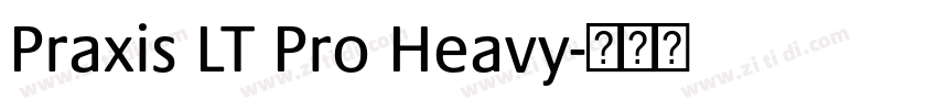 Praxis LT Pro Heavy字体转换